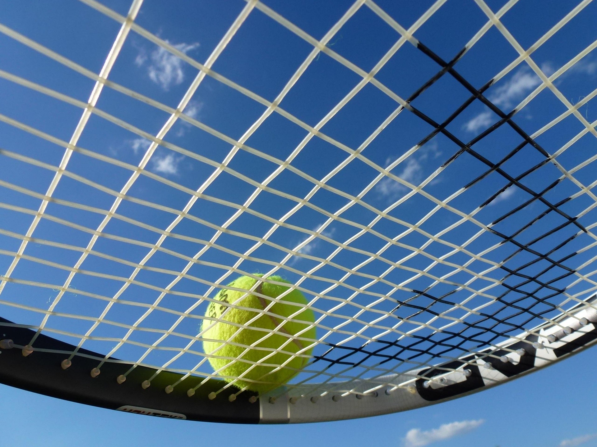 Рыбакина и Свентек сыграют в финале турнира WTA в Торонто